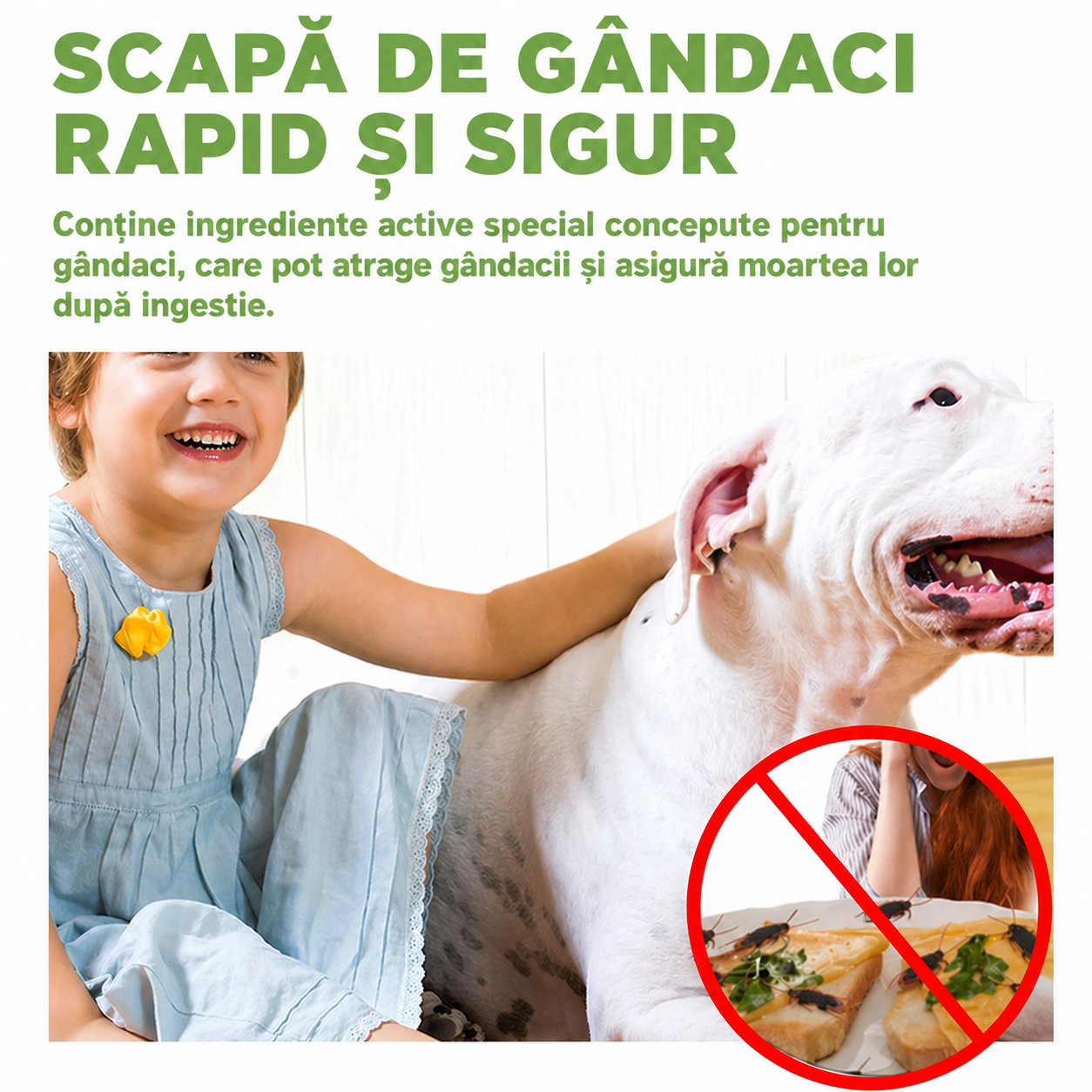 Capcana pentru gandacii de bucatarie - 12 buc