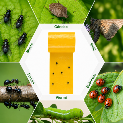 Bandă adezivă pentru capturarea insectelor